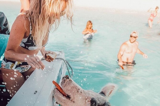 3 Islands Tour, Swim with Pigs, Turtles, Snorkelling & lunch - Crew style, safety, and comfort on the water
