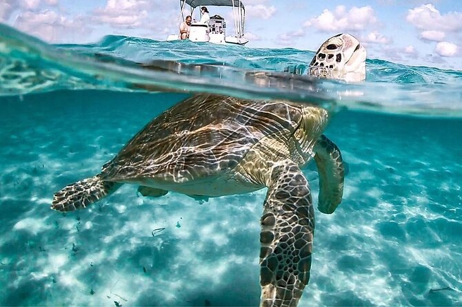 3 Islands Tour, Swim with Pigs, Turtles, Snorkelling & lunch - Atlantis from the water, with a quick photo stop