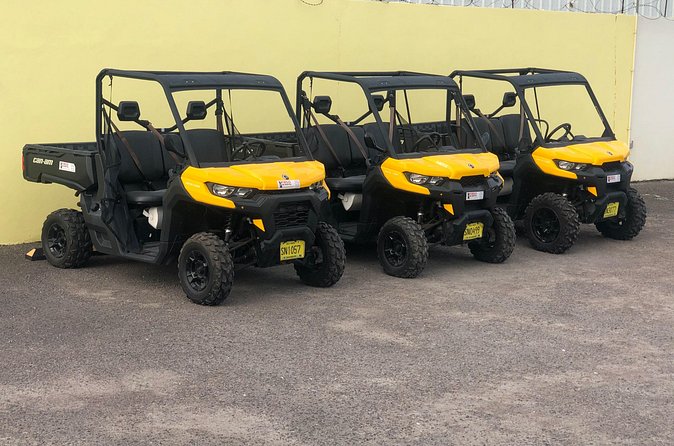 4-Hour Buggy Tour of New Providence (Inclusive of water & local deserts) - Guides can make or break the four hours