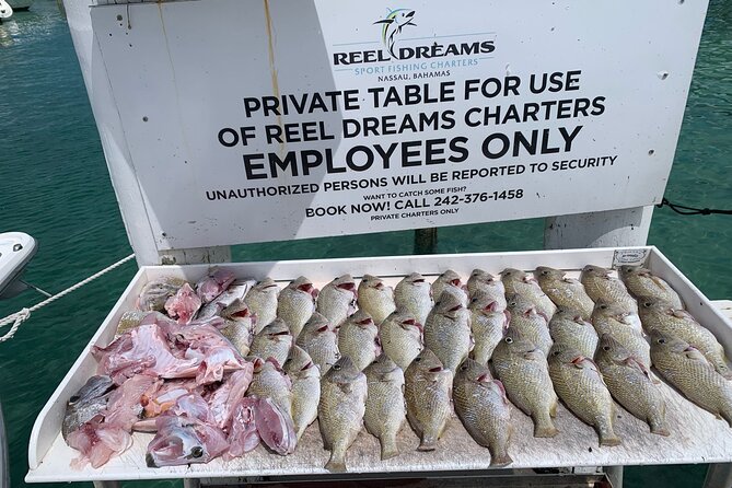 4 hours 34ft Day Dream Private Charter in Nassau - What fishing is like aboard the Day Dream
