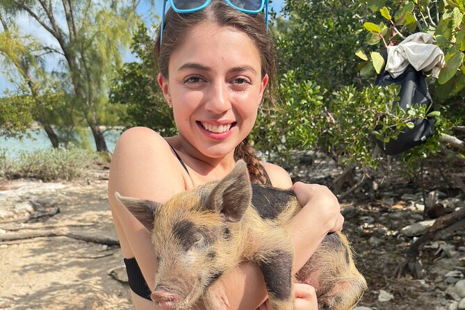 4-Island Tour Swimming Pigs, turtles, snorkeling , rose island, - Why this Nassau boat tour works well
