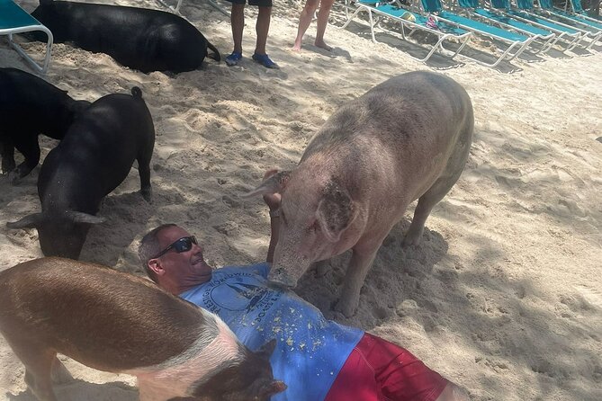 4hr Private Tour Island Hop Snorkel w/ Turtles & Sip Bahama Mamas - Rose Island gives the afternoon room to breathe