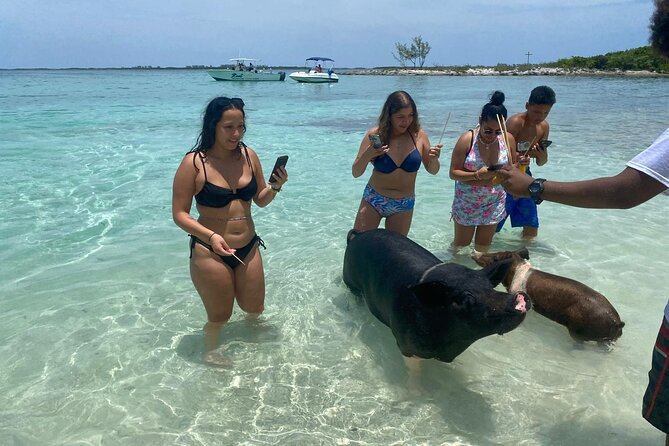 4hr Private Tour Island Hop Snorkel w/ Turtles & Sip Bahama Mamas - Practical packing advice for the water