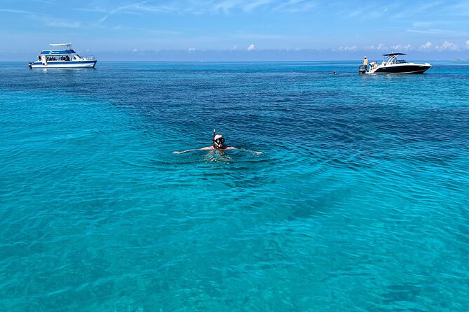 5 Hours Pigs and Turtles with Beach Stop in Bahamas - A small-boat way to see the Bahamas