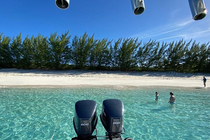 5 Hours Pigs and Turtles with Beach Stop in Bahamas - Who should book this outing?