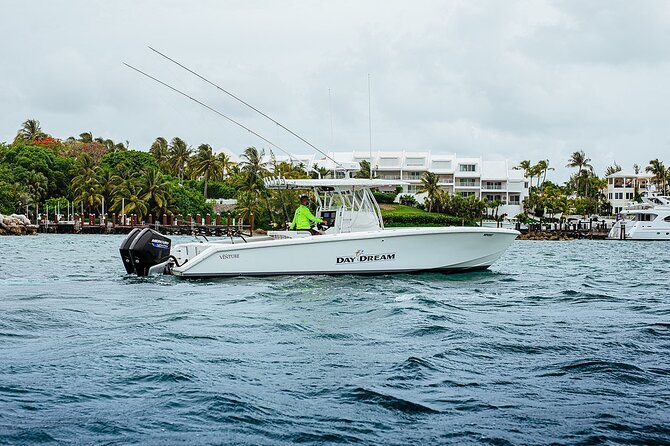 8 hours 34ft Day Dream Private Charter in Nassau - Swimming pigs, iguanas, beaches, and sandbars