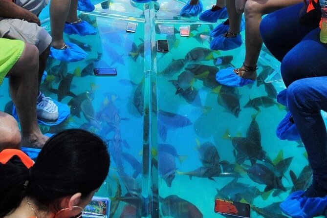 Adventures of the Lost Atlantis Bimini Road - Why the $180 price may make sense