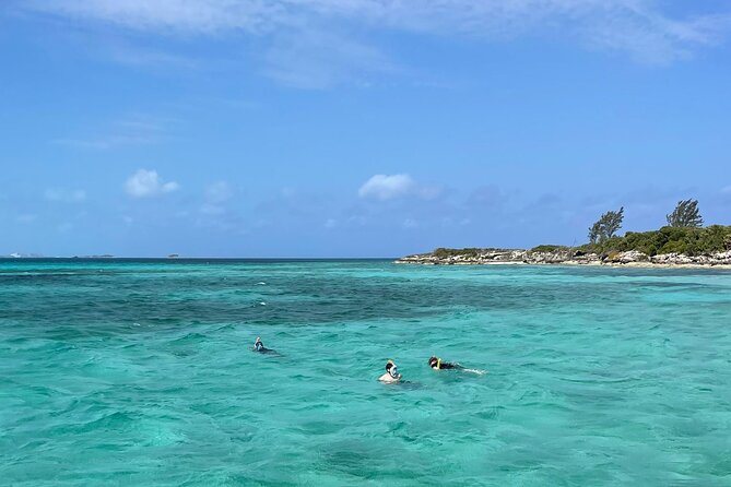All Inclusive 4- Hours Private Charter - Snorkeling, fishing, pigs, and turtles