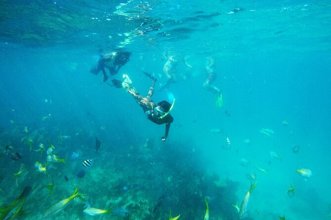 All Inclusive Half Day Sail and Snorkel - Key points before you book
