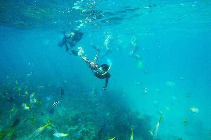 All Inclusive Half Day Sail and Snorkel - A crew-led trip with a personal touch