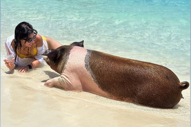 All Inclusive Pig Encounter, Snorkeling, Turtles, Lunch & Beach - Lunch, Drinks, and What the $149 Covers