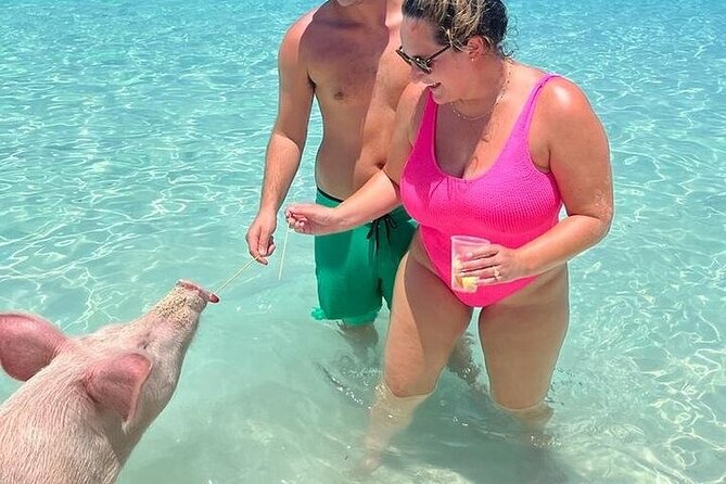 All Inclusive Pig Encounter, Snorkeling, Turtles, Lunch & Beach - Who Will Get the Most From This Trip