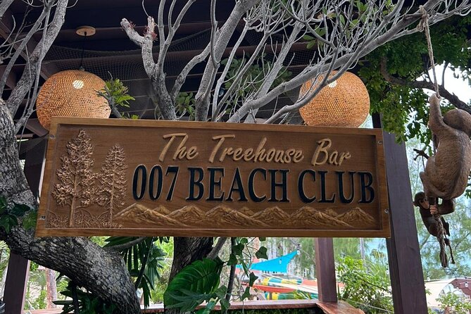 All Inclusive Pig Encounter, Snorkeling, Turtles, Lunch & Beach - Green Cay and the Turtle Sanctuary