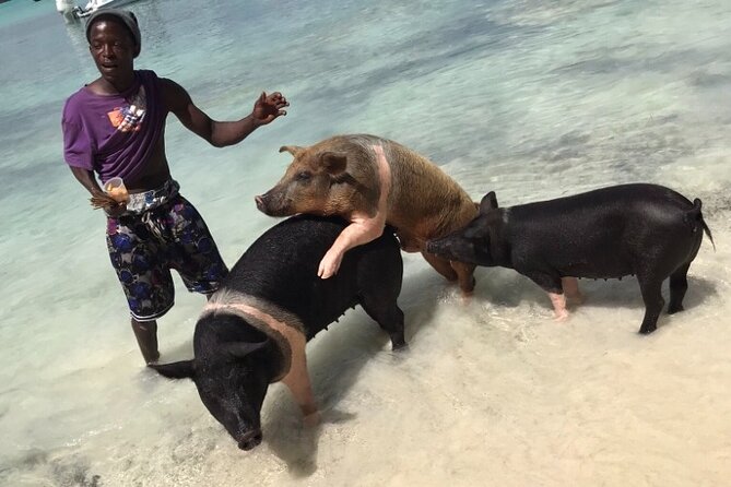All Inclusive Swimming With The Pigs - Drinks and snacks make the short trip feel more relaxed