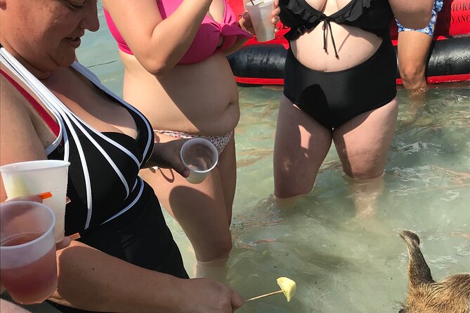 All Inclusive Swimming With The Pigs - What the two-hour schedule really gives you