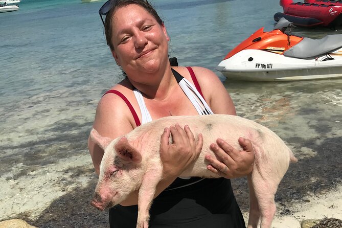 All Inclusive Swimming With The Pigs - A small group can make the outing easier