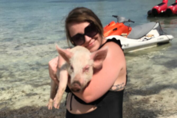 All Inclusive Swimming With The Pigs - Meeting point and timing need a careful check