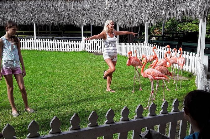 At YOUR Pace Private Tours V.I.P - Nassau, Bahamas - Graycliff, rum, and the sweeter side of Nassau