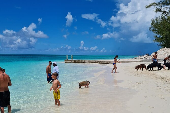 Athol Island Swimming Pigs Half-Day Boat Tour with Lunch - Four island stops in one Nassau boat trip