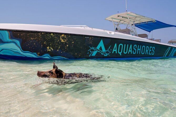 Bahamas Adventure: Pigs, Reef, Turtles, and Beach with Lunch - Sandy Cay, the small island known as Gilligan’s Island