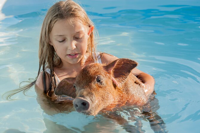 Bahamas Adventure: Pigs, Reef, Turtles, and Beach with Lunch - Who will enjoy this most?