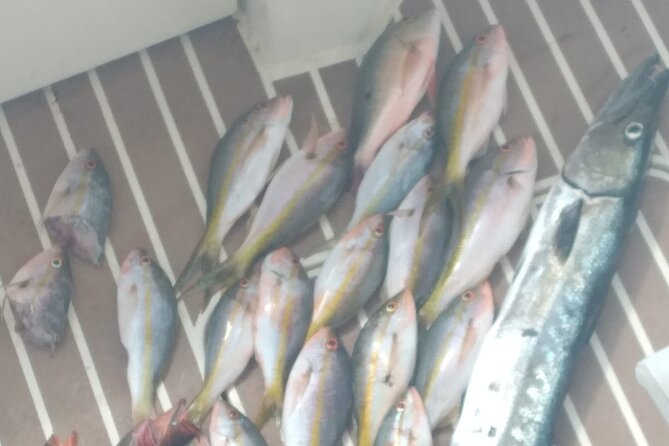 Bahamas Deep Sea Fishing - What the clear water adds to the fishing