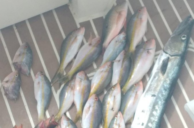 Bahamas Deep Sea Fishing - Is $1,500 a fair price?