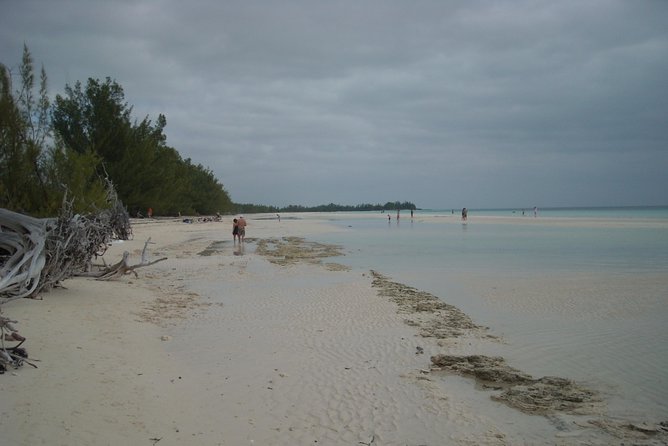 Bahamas Get-A-Round Bus Pass - Is this a sightseeing tour?