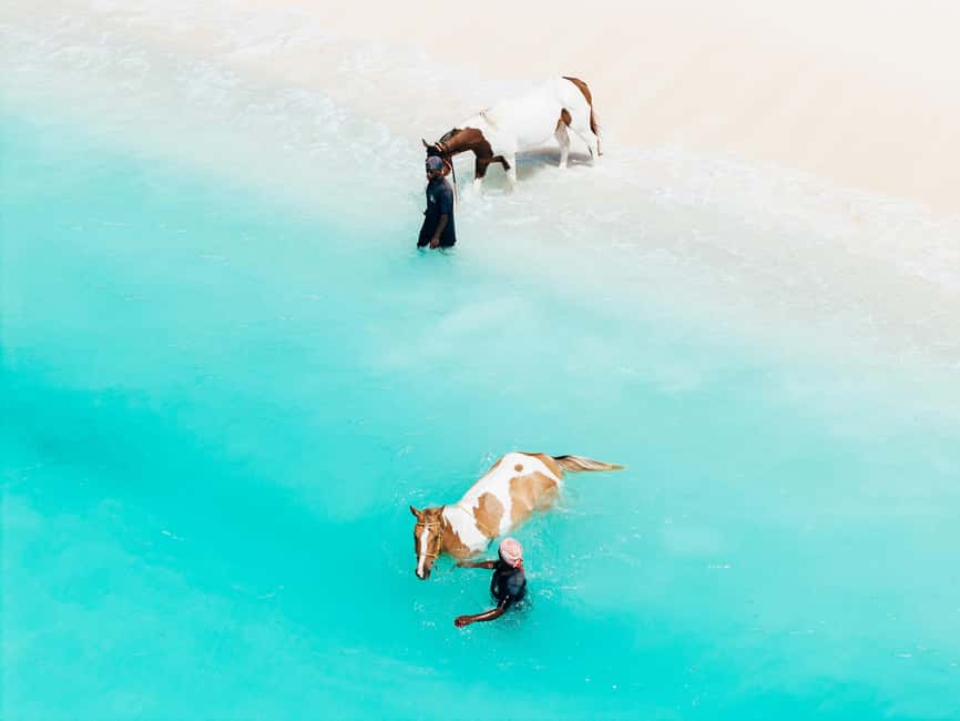 Bahamas: Nassau Horseback Riding on Beaches & Trails - Through woodland trails and open country