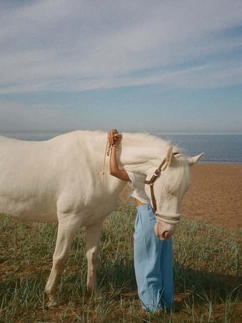 Bahamas: Nassau Horseback Riding on Beaches & Trails - Two private beaches and the move toward the water
