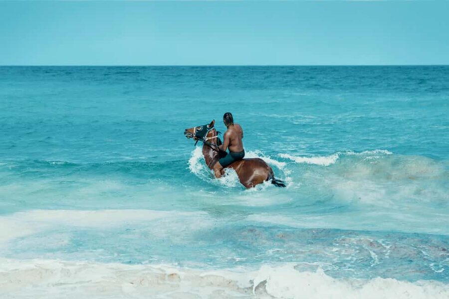 Bahamas: Nassau Horseback Riding on Beaches & Trails - Starting with the horse and the safety briefing