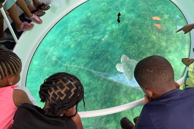 Bahamas on a Semi Submersive Glass Bottom Boat - Who will enjoy this Nassau boat ride?
