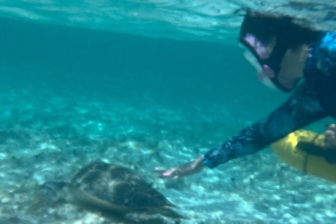 Bahamas Sea Scooter Snorkeling Adventure - Lunch with sand, sea, and a local flavor