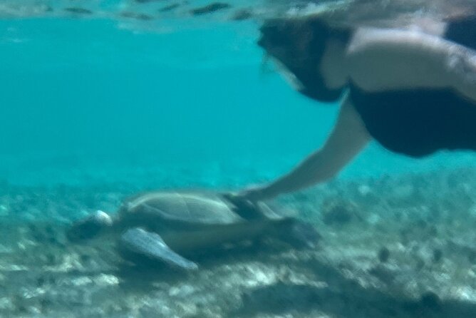 Bahamas Sea Scooter Snorkeling Adventure - What the guides add to the day
