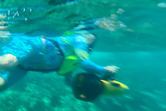 Bahamas Sea Scooter Snorkeling Adventure - Should you book this sea-scooter snorkeling tour?
