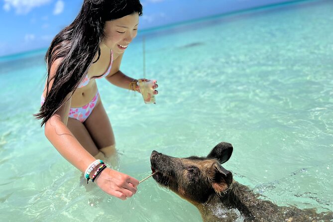 Bahamas Swimming Pigs Experience on Rose Island - Key points to know before booking