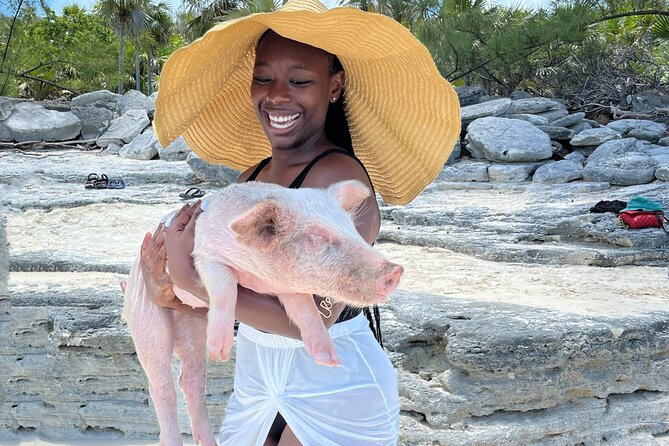 Bahamas Swimming Pigs Experience on Rose Island - What really happens when you meet the pigs
