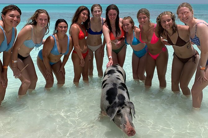 Bahamas Swimming Pigs Experience on Rose Island - Lunch is more important than it sounds