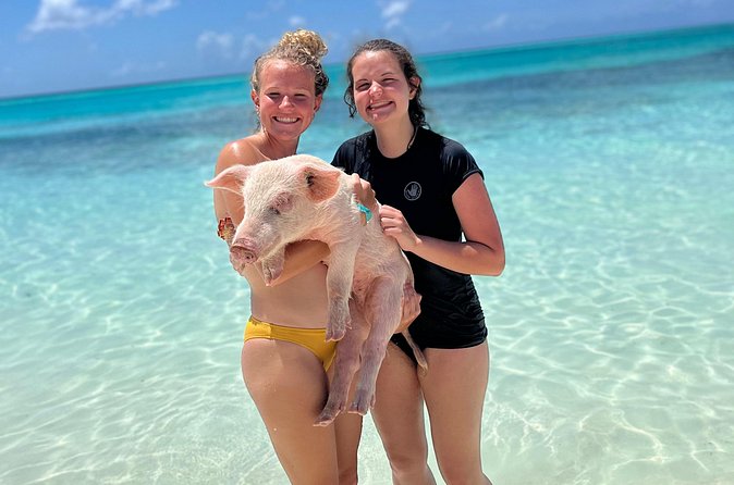 Bahamas Swimming Pigs Experience on Rose Island - Pickup is convenient, but confirm the morning plan