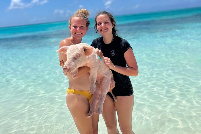 Bahamas Swimming Pigs Experience on Rose Island - Weather can change the whole outing