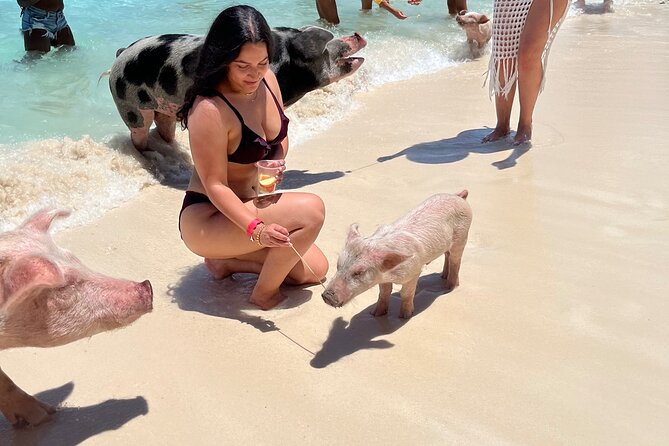 Bahamas Swimming Pigs Experience on Rose Island - Who will enjoy this Rose Island outing most