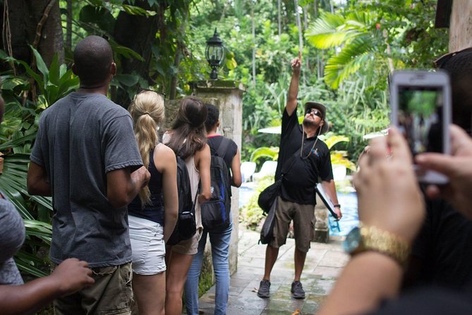 Bites of Nassau Food and Walking Tour - Which guide makes the difference?