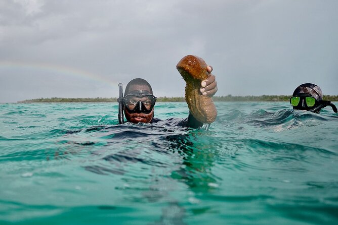 Blue hole, drift snorkeling, turtles Celebration Key is welcome - Who will enjoy this outing most