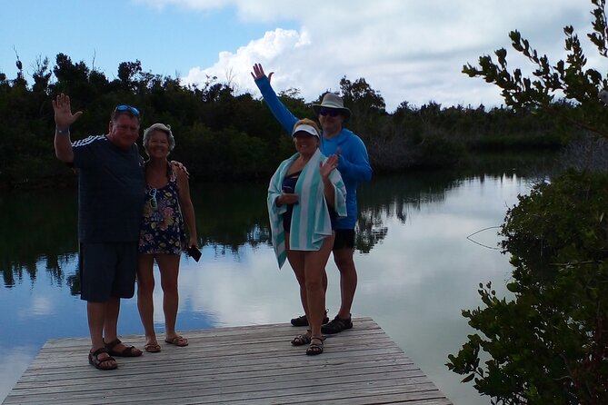 Blue hole, drift snorkeling, turtles Celebration Key is welcome - Blue holes, but check what you will actually snorkel