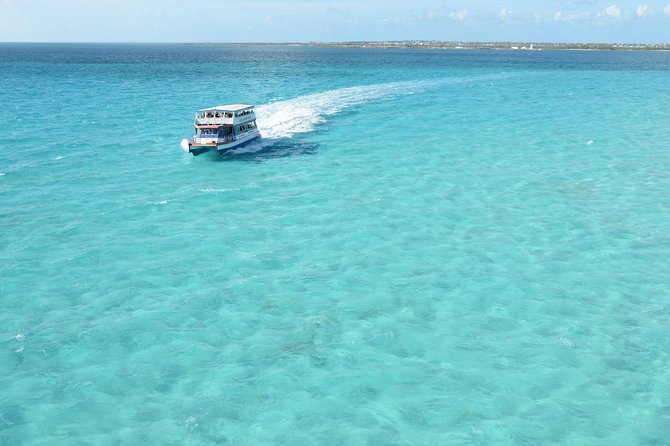 Blue Lagoon Island Beach Day from Nassau - Dolphins, sea lions, and animal programs