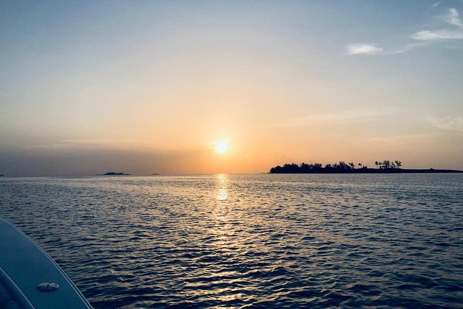 Bluefinn242 Swim with the Turtles in Nassau Bahamas - Is $128.21 a good value?