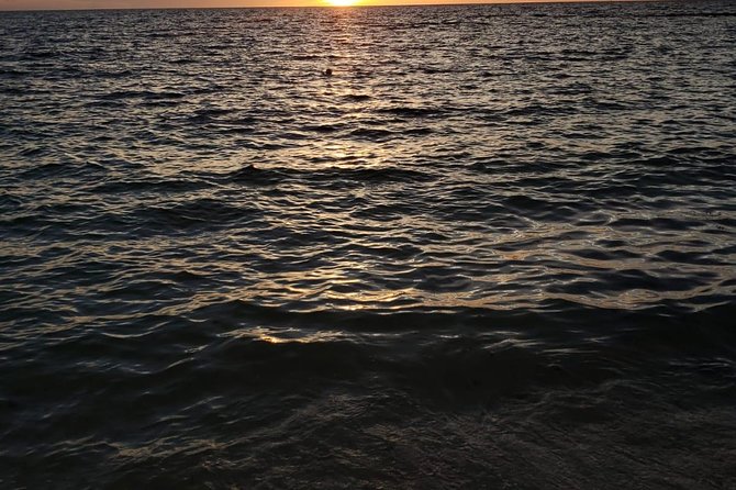 Bluefinn242 Swim with the Turtles in Nassau Bahamas - Weather, cancellations, and timing