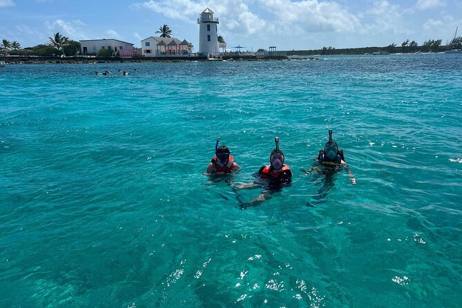 Catamaran Snorkel & Beach Day with Turtles - Why this Nassau catamaran trip works well