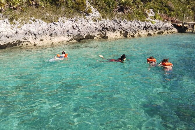 Catamaran Snorkel & Beach Day with Turtles - Turtle watching at Green Cay Sanctuary