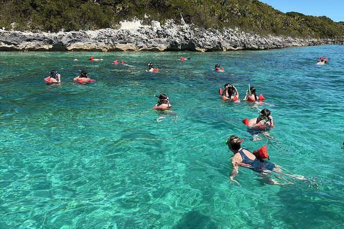Catamaran Snorkel & Beach Day with Turtles - What $110 buys you
